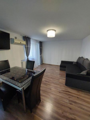 Apartament Central